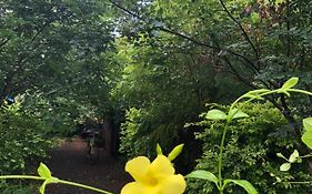 Evergreen Villa Nature Resort